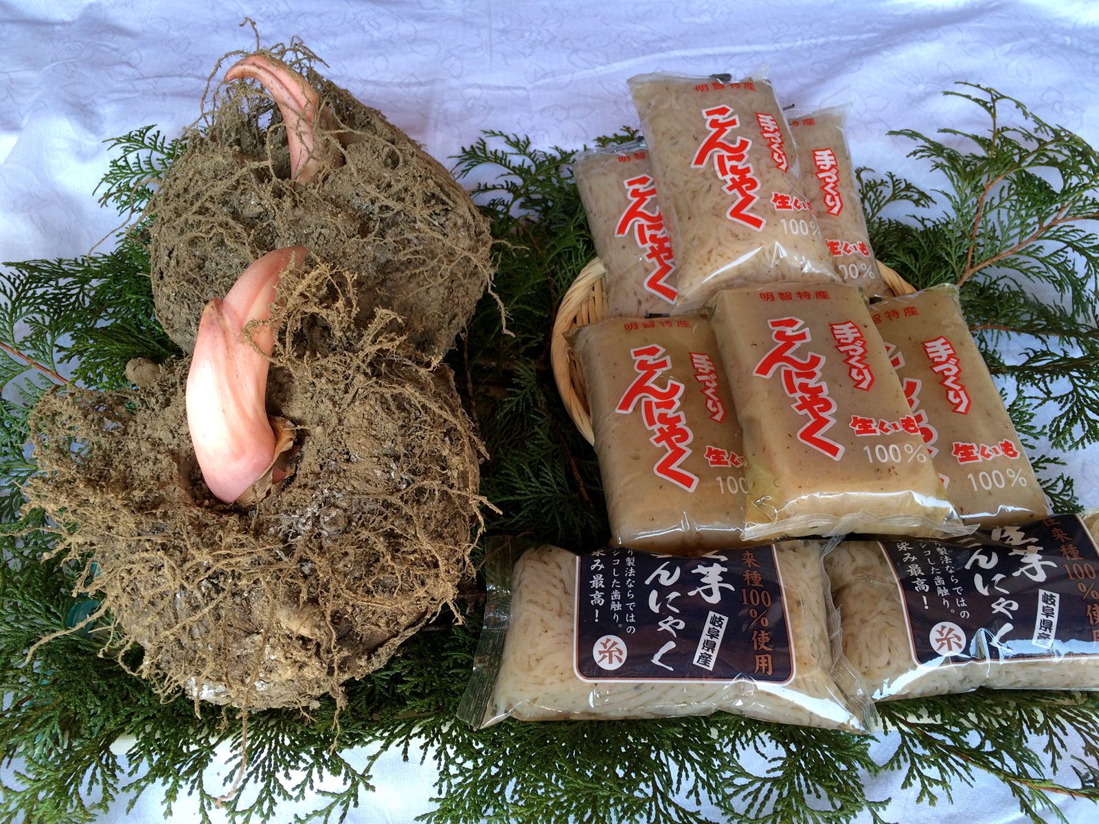 明智　イトウこんにゃく