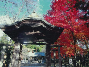 明智_八王子神社大祭