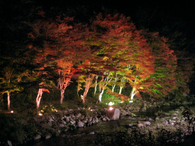 明智_下ケ渕のライトアップ