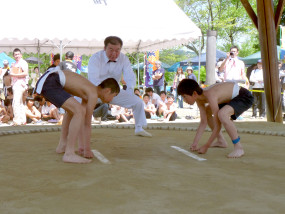 明智_こども相撲