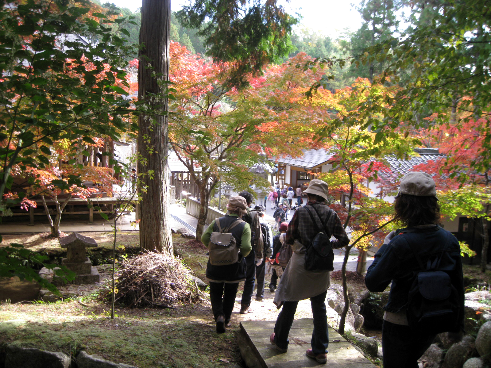 明智_大正村ウォーキング