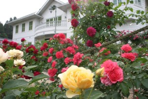 ロマン館-768x512