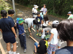 DSCN0751 - コピー