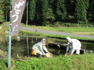 どじょう_1610-300x225